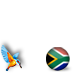 South Africa with Kingfisher