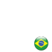 Brasil na copa
