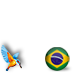 Brazil with Kingfisher #bra