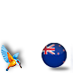 New Zealand with Kingfisher