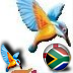 kingfisher_beer
