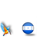 Honduras with Kingfisher