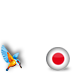 Japan with Kingfisher #jpn