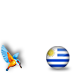 Uruguay with Kingfisher #uru
