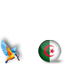 Algeria with Kingfisher #alg