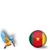 Cameroon with Kingfisher