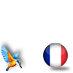 France with Kingfisher #fra