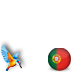 Portugal with Kingfisher