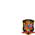 Spain National Football