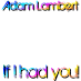 Adam Lambert - If I had you