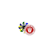 University of the East