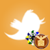poc_sportacular
