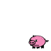 ibab the babi