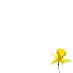 Arj likes flowers