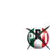 Vota PRI