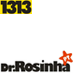 Rosinha1313