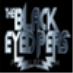 Black Eyed Peas