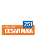 Cesar Maia Senador 251