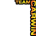 Team Carwin