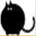 FatCatAnna