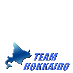Team HOKKAIDO