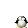 I love Penguins