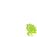 Scottish Green Party