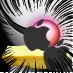 pashimo