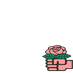 Breast Cancer Awareness