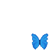 Thyroid Awareness