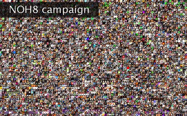 NOH8 campaign Twibute 5000