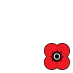 Poppyscotland 2010 - 2