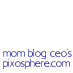 Mom Blog CEO's