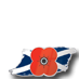 Poppyscotland 2010 - 4
