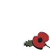 RBL Poppy Appeal