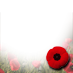 #Remembrance Day Poppy