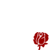 The Rose Campaign