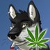 quentinwolf