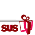 SUS Holiday Gift Project