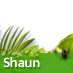 Shaun to win