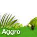 Aggro to win