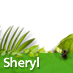 Sheryl to win