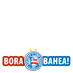 Esporte Clube Bahia
