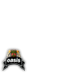 oasis_logo