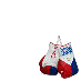 PACMAN - Gloves