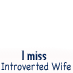 I Miss IntrovertedWife