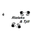 Rieleks