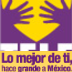 teleton_mexico