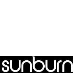 Sunburn Festival 2010