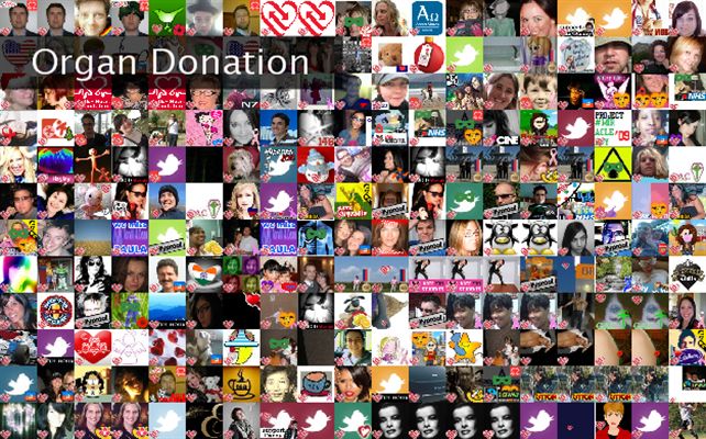 Organ Donation Twibute 250
